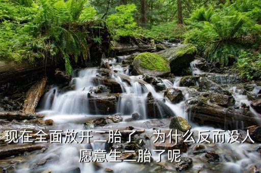 現(xiàn)在全面放開二胎了，為什么反而沒人愿意生二胎了呢