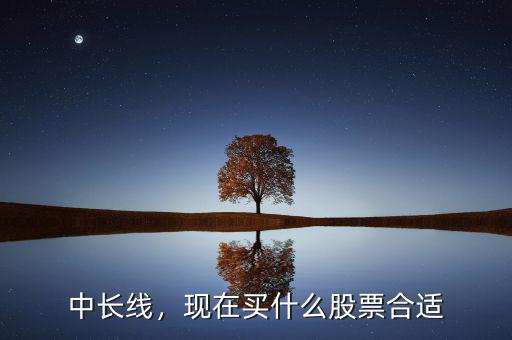 中長(zhǎng)線，現(xiàn)在買(mǎi)什么股票合適