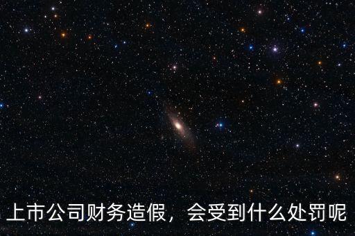 上市公司財(cái)務(wù)造假，會(huì)受到什么處罰呢