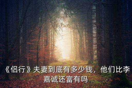 《侶行》夫妻到底有多少錢，他們比李嘉誠還富有嗎