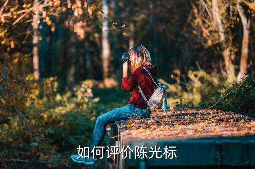質疑陳光標的什么,曾經的中國首善陳光標