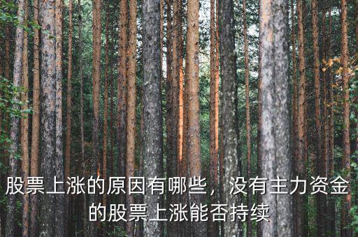股票上漲的原因有哪些，沒有主力資金的股票上漲能否持續(xù)