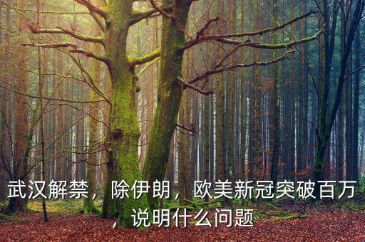 武漢解禁，除伊朗，歐美新冠突破百萬，說明什么問題