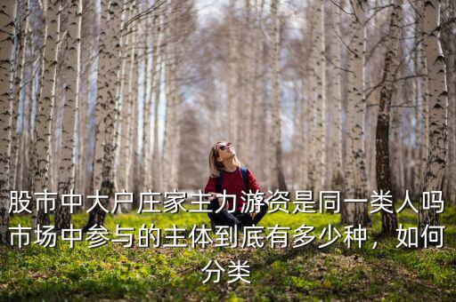 股市中大戶莊家主力游資是同一類人嗎市場中參與的主體到底有多少種，如何分類