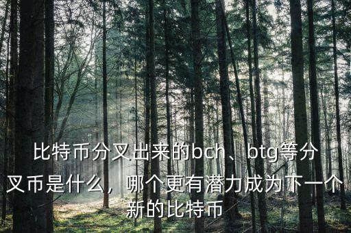 比特幣分叉出來的bch、btg等分叉幣是什么，哪個(gè)更有潛力成為下一個(gè)新的比特幣