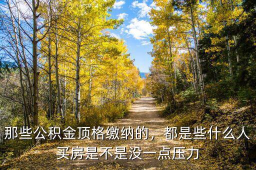那些公積金頂格繳納的，都是些什么人買房是不是沒一點(diǎn)壓力