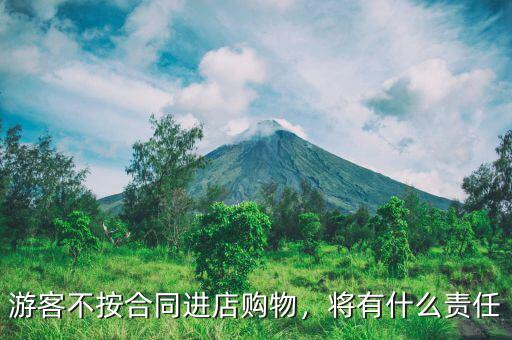 游客不按合同進(jìn)店購(gòu)物，將有什么責(zé)任