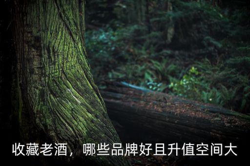 收藏老酒，哪些品牌好且升值空間大