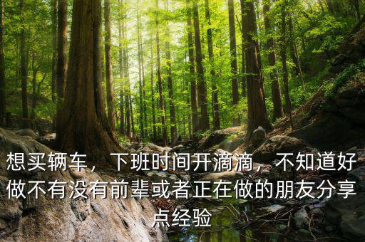 想買輛車，下班時(shí)間開滴滴，不知道好做不有沒有前輩或者正在做的朋友分享點(diǎn)經(jīng)驗(yàn)