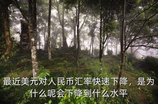 最近美元對(duì)人民幣匯率快速下降，是為什么呢會(huì)下降到什么水平