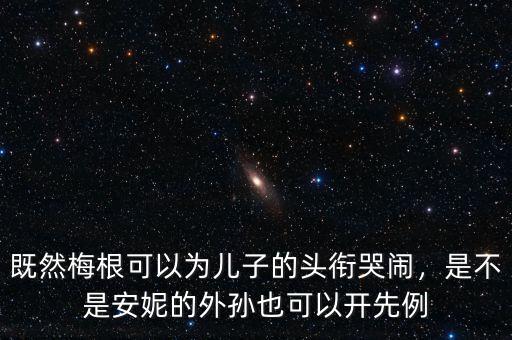既然梅根可以為兒子的頭銜哭鬧，是不是安妮的外孫也可以開先例