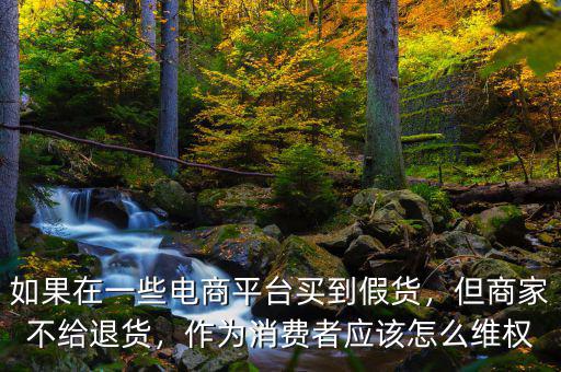 如果在一些電商平臺買到假貨，但商家不給退貨，作為消費者應(yīng)該怎么維權(quán)