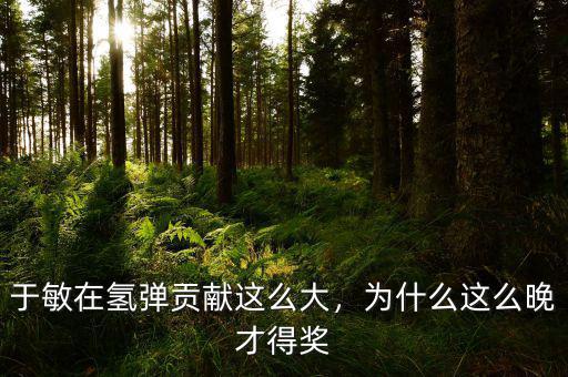 于敏在氫彈貢獻這么大，為什么這么晚才得獎