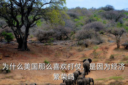 為什么美國那么喜歡打仗，是因為經(jīng)濟繁榮嗎
