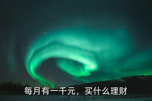 每月有一千元，買什么理財