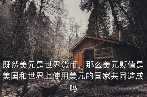 既然美元是世界貨幣，那么美元貶值是美國(guó)和世界上使用美元的國(guó)家共同造成嗎