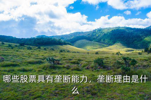 哪些股票具有壟斷能力，壟斷理由是什么