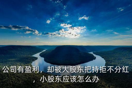 公司有盈利，卻被大股東把持拒不分紅，小股東應(yīng)該怎么辦
