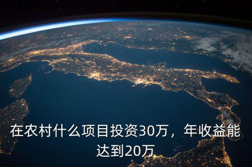 在農(nóng)村什么項(xiàng)目投資30萬，年收益能達(dá)到20萬
