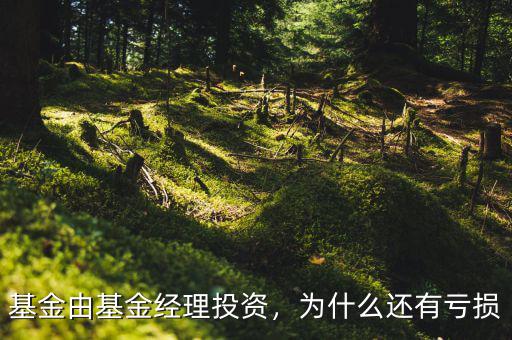 基金由基金經(jīng)理投資，為什么還有虧損