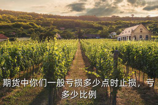 期貨中你們一般虧損多少點(diǎn)時止損，虧多少比例