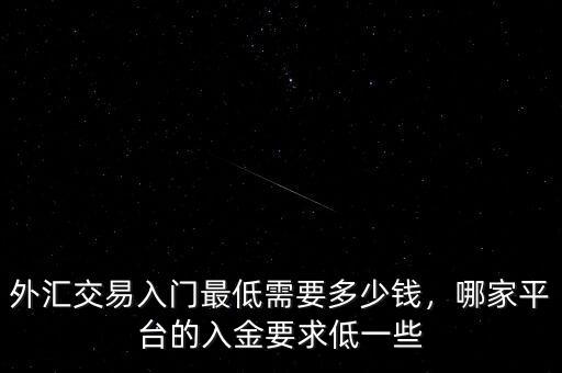 外匯交易入門最低需要多少錢，哪家平臺的入金要求低一些