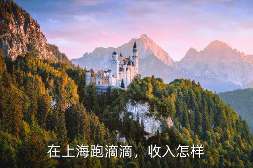 在上海跑滴滴，收入怎樣