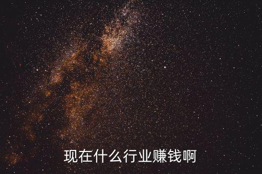 現(xiàn)在什么行業(yè)賺錢(qián)啊