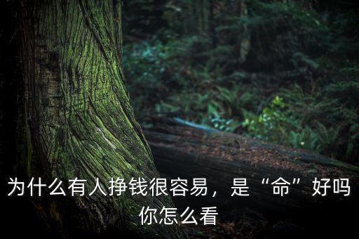 為什么有人掙錢很容易，是“命”好嗎你怎么看