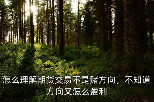 怎么理解期貨交易不是賭方向，不知道方向又怎么盈利