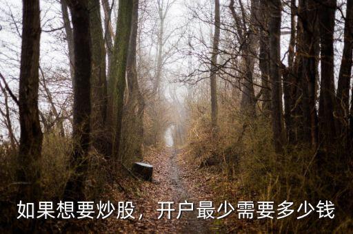 如果想要炒股，開戶最少需要多少錢