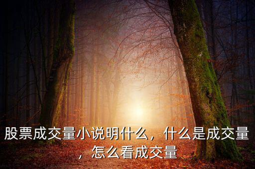 股票成交量小說明什么，什么是成交量，怎么看成交量