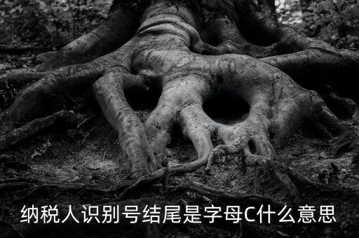 c級納稅人是什么意思，納稅人識別號結(jié)尾是字母C什么意思
