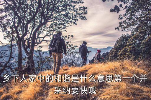 征納的什么和諧，辯論賽構(gòu)建和諧征納關(guān)系稅收執(zhí)法與納稅服務(wù)哪個更重要納稅