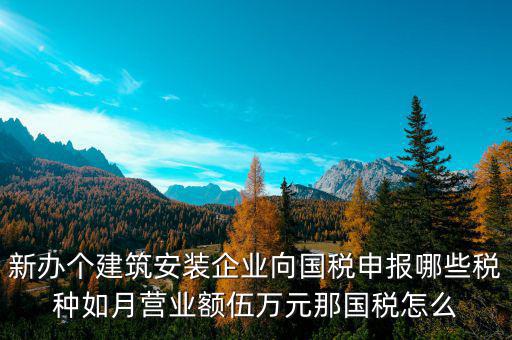 新辦個(gè)建筑安裝企業(yè)向國(guó)稅申報(bào)哪些稅種如月營(yíng)業(yè)額伍萬(wàn)元那國(guó)稅怎么