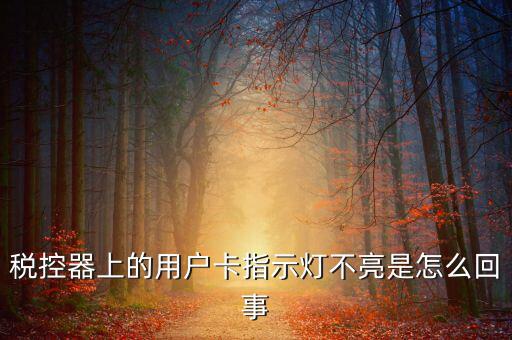 稅控機(jī)用戶卡是什么，稅控器上的用戶卡指示燈不亮是怎么回事