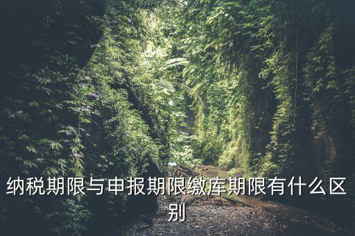 申報(bào)期限 繳款期限是什么意思，增值稅申報(bào)期限與繳款期限都是15號(hào)之前嗎如超出期限怎樣處理
