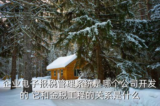 什么是網(wǎng)稅系統(tǒng)，企業(yè)電子報稅管理系統(tǒng)是哪個公司開發(fā)的 它和金稅工程的關(guān)系是什么