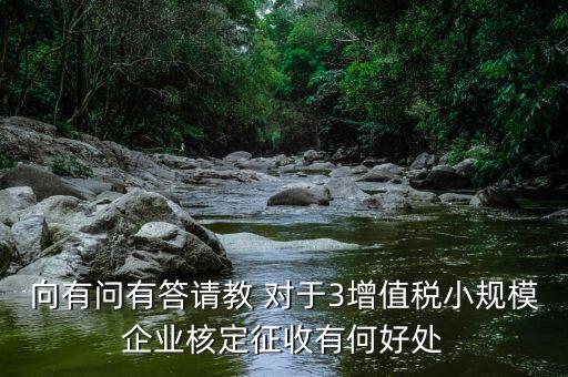 核定征收有什么好處，向有問有答請教 對于3增值稅小規(guī)模企業(yè)核定征收有何好處