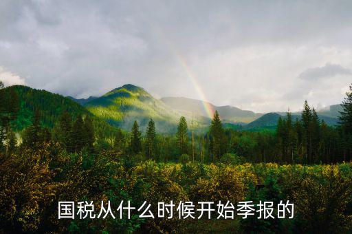 國稅什么時間申報，國稅從什么時候開始季報的