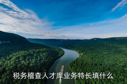 地稅局的人才庫(kù)是什么，地稅局的人具體做什么