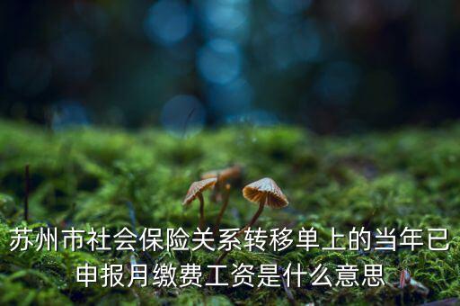 社保已申報(bào)是什么意思，新手求助請問網(wǎng)上申報(bào)是什么意思