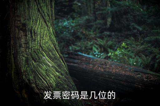 普通發(fā)票密碼是什么，國(guó)稅局發(fā)票軟件里用戶代碼和密碼是什么