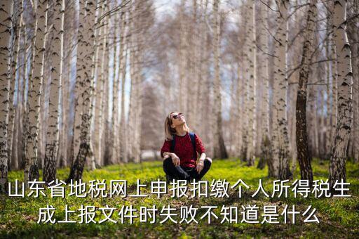 山東地稅網(wǎng)為什么沒法報(bào)稅，山東地稅網(wǎng)上申報(bào)系統(tǒng)網(wǎng)頁無法訪問是什么原因