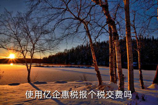 深圳億企惠稅報(bào)什么稅，稅友億企惠稅是用來(lái)申報(bào)地稅還是國(guó)稅