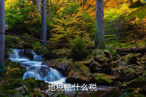 地稅專項收入是什么稅，地稅是什么稅