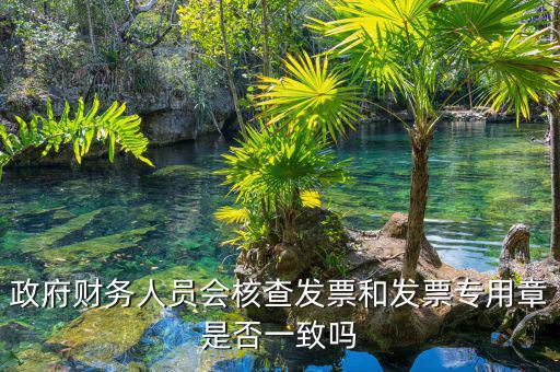 什么情況會核查發(fā)票，就是稅務(wù)局導(dǎo)出數(shù)據(jù)的時候會不會核對一下發(fā)票的因?yàn)槲也淮_定自