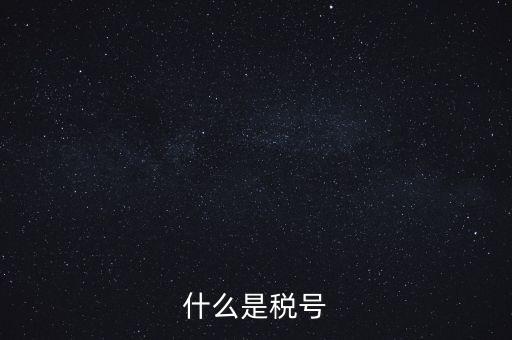什么是單位稅號，什么是稅號