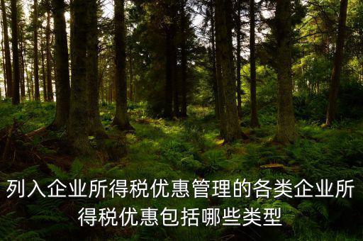 企業(yè)所得稅優(yōu)惠事項(xiàng)名稱指什么，享受企業(yè)所得稅優(yōu)惠申請(qǐng)表中稅收優(yōu)惠事項(xiàng)名稱怎么填