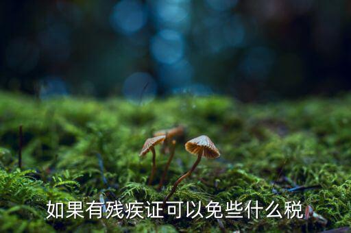 殘疾人免征什么稅，如果有殘疾證可以免些什么稅